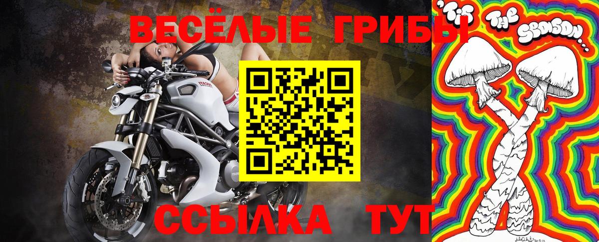 Галлюциногенные грибы мицелий  Вход с VPN  Псков  Псилоцибиновые грибы Cubensis 