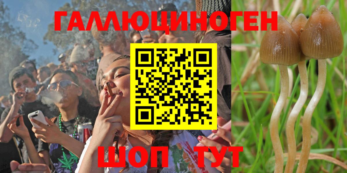 Галлюциногенные грибы мухоморы Псков
